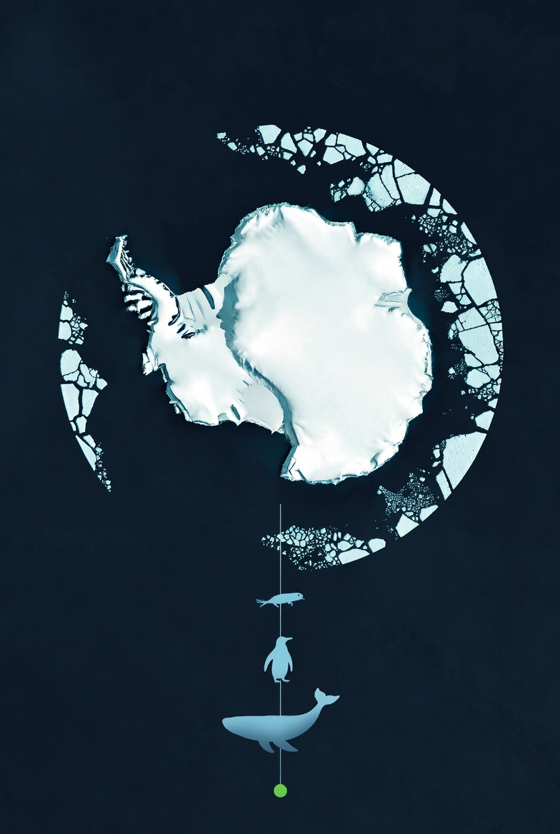 Antarctica's Low-Ice Era Is Changing the Ocean Food Chain — illustration 3
